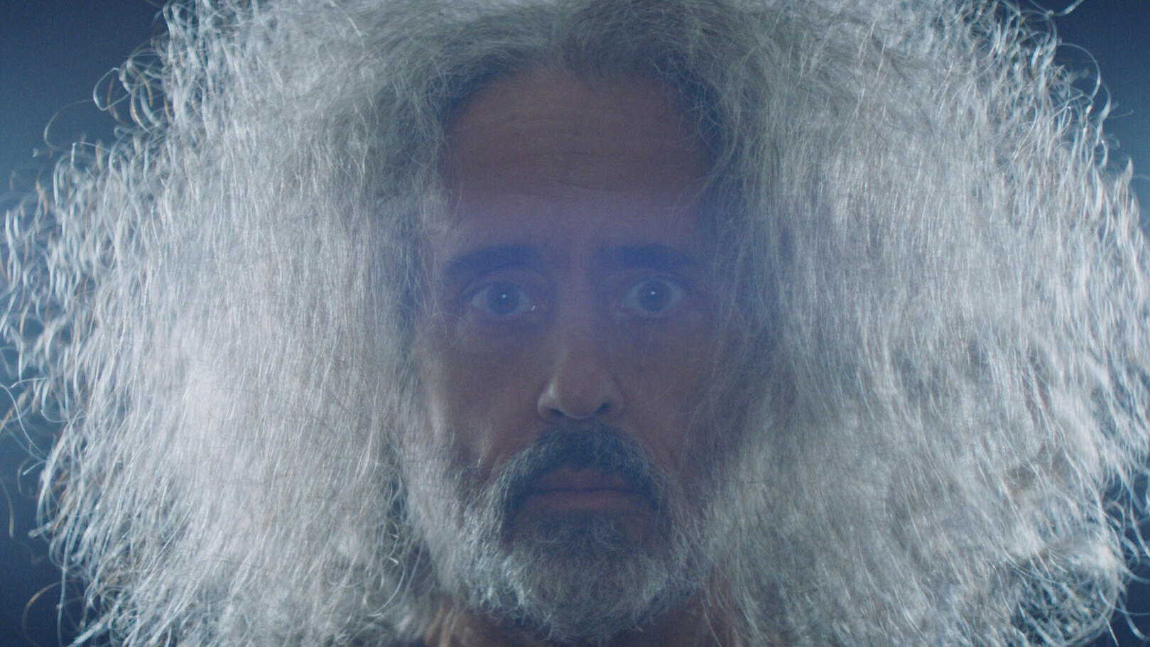 Daughters of the Forest: The Mycelium Chronicles